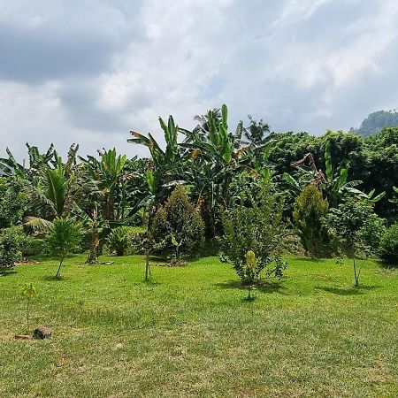 Tambun Hillview Cottage 1 Eksteriør bilde